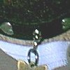 Newest photo of me, 2002 (wearing the collar Patrick gave me)